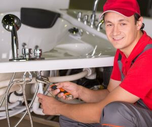 About Plumbers Pros Leckrone, PA